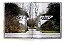 Livro Icons Of Cycling - Kirsten Van Steenber 1a Ed 2021 - Imagem 4