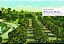 Portrait Of Walt Disney World - KEVIN M KERN 2021 Ed 2021 - Imagem 3