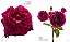 The Color Of Roses: A Curated Spectrum of 300 Blooms - Victoria Pearson 1a Ed - Imagem 4
