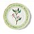 Prato Raso em Porcelana Botânica Clematide Verde Bitossi - 26cm - Imagem 1