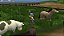 Harvest Moon Save the Homeland PS2 Original Lacrado (Americano) - Imagem 3