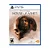 The Dark Picture Anthology House Of Ashes PS5 Mídia Física Lacrado - Imagem 1