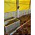 LINHA 9 METROS - SISTEMA COMEDOURO AUTOMATICO PRATOS AVI14 - Imagem 8
