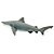 Figura Tubarão Cabeça Chata (Bull Shark) Safari Ltd. - Imagem 3
