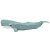 Figura Cachalote (Sperm Whale) Safari Ltd. - Imagem 5