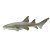 Figura Tubarão Lixa Safari Ltd. - Imagem 1