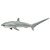 Figura Tubarão De Cauda Longa Safari Ltd. - Imagem 3