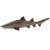 Figura Tubarão-Mangona (Sand Tiger Shark) Safari Ltd. - Imagem 2