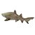 Figura Tubarão-Mangona (Sand Tiger Shark) Safari Ltd. - Imagem 3