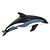 Figura Golfinho Do Atlântico Safari Ltd. - Imagem 1