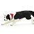 Figura Cachorro Border Collie Safari Ltd. - Imagem 3