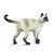 Figura Gato Siamês Safari Ltd. - Imagem 4