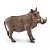 Figura Javali (Warthog) Safari Ltd. - Imagem 3