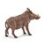 Figura Javali (Warthog) Safari Ltd. - Imagem 7