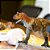 Figura Carnotaurus Safari Ltd. - Imagem 9