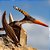 Figura Pteranodon Safari Ltd. - Imagem 10