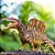 Figura Spinosaurus Safari Ltd. - Imagem 10