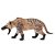 Figura Hyaenodon Gigas Safari Ltd. - Imagem 8