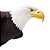 Figura Águia De Cabeça Branca (Bald Eagle) Safari Ltd. - Imagem 3