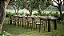 Cadeira Bali - Imagem 10
