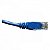 Cabo Patch Cord UTP Cat5e 20 Metros Azul Seccon - Imagem 3