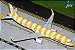 Gemini Jets 1:200 Condor Airbus A321 "New Livery: Sunshine/ Yellow Stripes" - Imagem 1