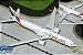 Gemini Jets 1:400 Emirates B777-300ER - Imagem 1