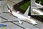Gemini Jets 1:200 Emirates B777-200LRF A6-EFV Flaps Down (Pré-venda) - Imagem 1