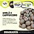 Choconuts P&P Avelã Chocolate Cappuccino Drageado - Imagem 5