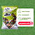 Mix Saúde Sementes Premium 1Kg - P&P - Imagem 5
