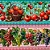 Tricoline digital Frutas I (0,55cm x 1,50 de largura) - Imagem 1