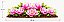 Decalques para tecido DTF Floral rosa (28cm x 10cm) - Imagem 1
