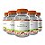Kit Tribulus Terrestris 500mg 60 Doses + Zma 60 Doses + Turkesterone 500mg 30 Cápsulas + Silimarina com Metionina 60 Doses + Ginkgo Biloba 60mg 60 Cápsulas - Imagem 1