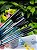Caneta 0.7mm - Compactor - Imagem 3