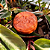 SHAMPOO SÓLIDO HIDRATANTE | NUTRITIVO - Imagem 3