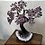 Árvore Bonsai Pedra Rolada 30cm - Imagem 1