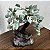 Árvore Bonsai Pedra Bruta 15cm - Imagem 2