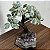 Árvore Bonsai Pedra Bruta 15cm - Imagem 3