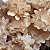 Forminhas para doces - Margaridas com spray - 50 unid - Imagem 5
