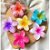 Presilha de Flor para Cabelo - Imagem 3