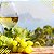 Vinho Chilano Moscato 750ml - Branco Suave - Imagem 5
