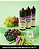 Juice Dream Collab - Grapes Paradise Ice - 0mg - 30ml - Imagem 1