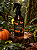 Home Spray - O Onçupira - Imagem 1