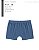 12 Boxer Cotton Adulto Lisa Tamanhos Nobres - Imagem 1