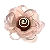 Carmélia Vazada 50Und - Imagem 11