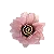 Margarida 50Und - Imagem 9