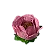 Rosa Apaixonada Simples 50Und - Imagem 3