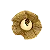Saia de Noiva 50Und - Imagem 4