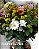 Flores do Campo - Imagem 1