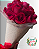 Cone com 15 Rosas Vermelhas - Imagem 2